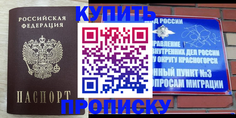 прописка гарантия в Краснослободске